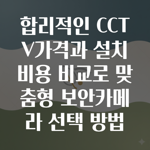 CCTV가격